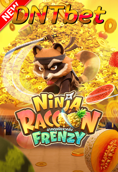 Ninja Raccoon Frenzy